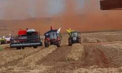 Safra pode superar 250 milhões de toneladas, apesar de pandemia