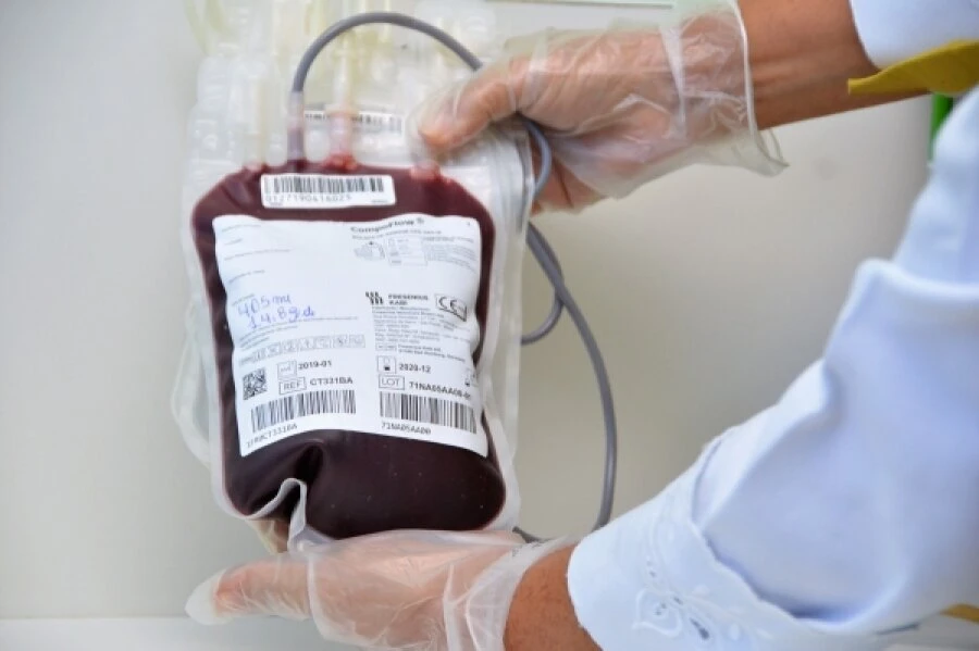 Estoque de sangue do Hemoal está com déficit de 71%. Órgão possui 87 bolsas, quando deveria dispor de, no mínimo, trezentas
