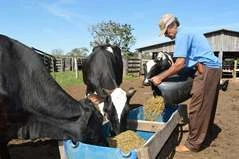 Programa de Aquisição de Alimentos vai levar leite a famílias de baixa renda