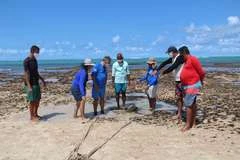 Pajuçara: Piscinas naturais são monitoradas para retorno gradual das atividades
