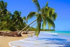 Praia do Patacho entra em fase piloto para receber certificação “Bandeira Azul”