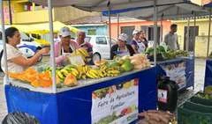 Governo e Ministério da Cidadania lançam Programa de Aquisição de Alimentos, nesta quinta (17)