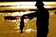 Governo Federal investe na qualificação de pescadores e desenvolvimento de agroindústrias no NE