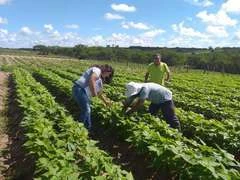 CMN eleva preços de referência para safra 2021/22