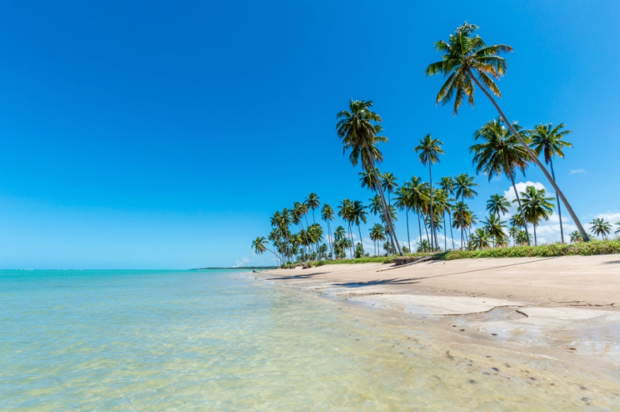 Maceió é o destino mais procurado no feriado de Finados