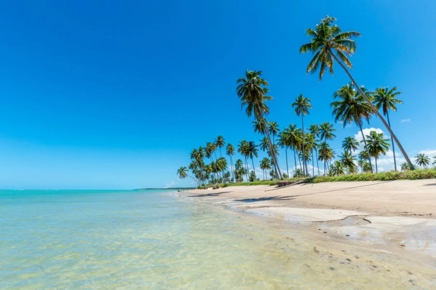 Maceió é o destino mais procurado no feriado de Finados