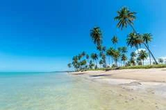 Com novas estradas e hotéis, Alagoas ganha novo polo de desenvolvimento para o turismo