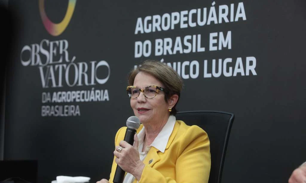 Novo portal unifica dados estratégicos da agropecuária brasileira