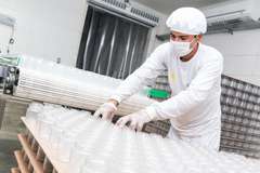 AL é o estado do Nordeste que mais abriu empresas em 2021