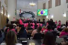 ALE: Palestras e debates marcam sessão especial sobre o “Outubro Rosa”
