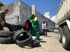Maceió Unida Contra Dengue intensifica coleta de pneus de 18 a 23 de outubro