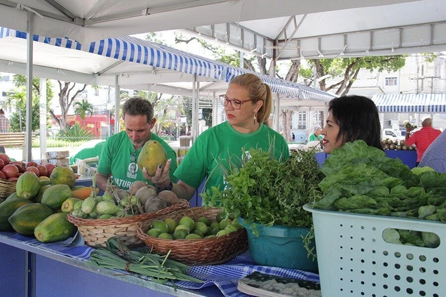 Feira Agroecológica do TJAL contará com oficina de comidas juninas nesta quarta (7)