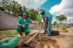 Em 2022, Prefeitura de Maceió já realizou o plantio de mais de 2.400 exemplares na capital