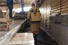 Mercado da Produção recebe serviços do Mutirão de Limpeza