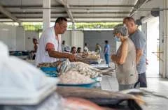 Consumidores procuram peixe fresco, diversidade e bons preços no Centro Pesqueiro