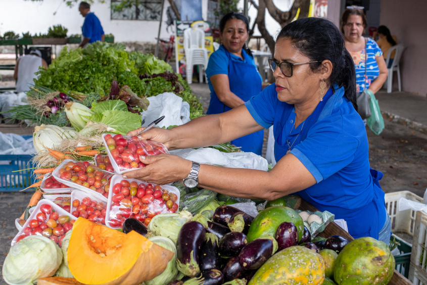 Feira Agroecológica desta terça (6) é cancelada devido às chuvas