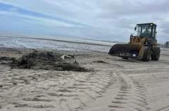 Prefeitura de Maceió recolhe mais de 600 toneladas de lixo na Praia da Avenida