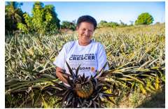 Governo fortalece cooperativas com entrega de equipamentos do Alagoas Maior