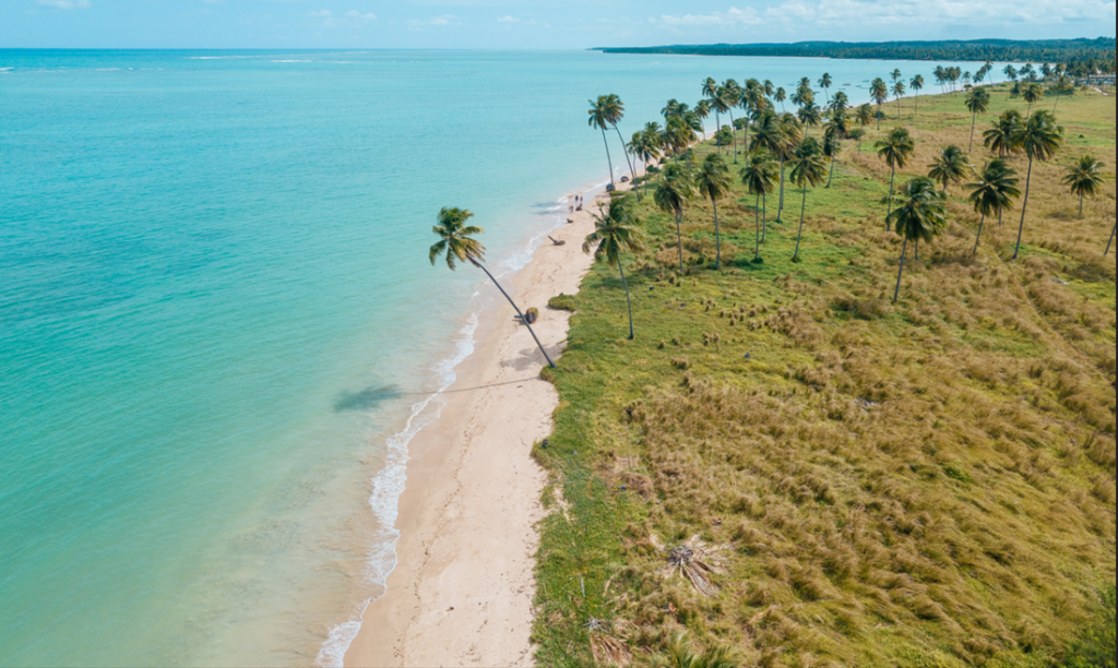 Bandeira Azul: Praia do Patacho recebe renovação do título internacional de sustentabilidade