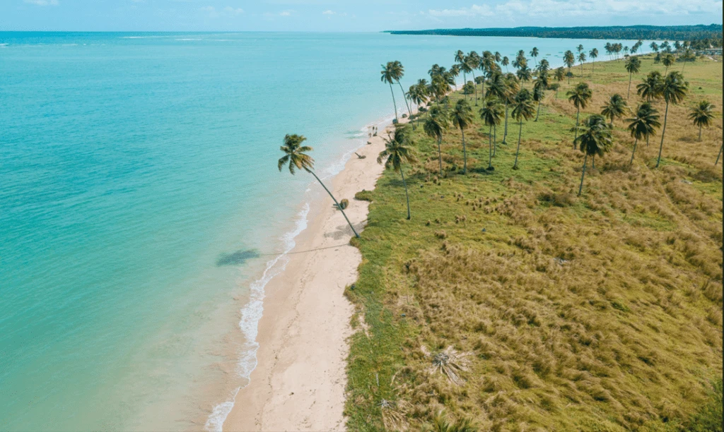 Bandeira Azul: Praia do Patacho recebe renovação do título internacional de sustentabilidade