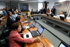 Senado: CRA analisa regularização de imóveis com déficit de reserva legal