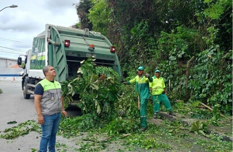 Alurb realiza intervenções em árvores no bairro da Gruta de Lourdes