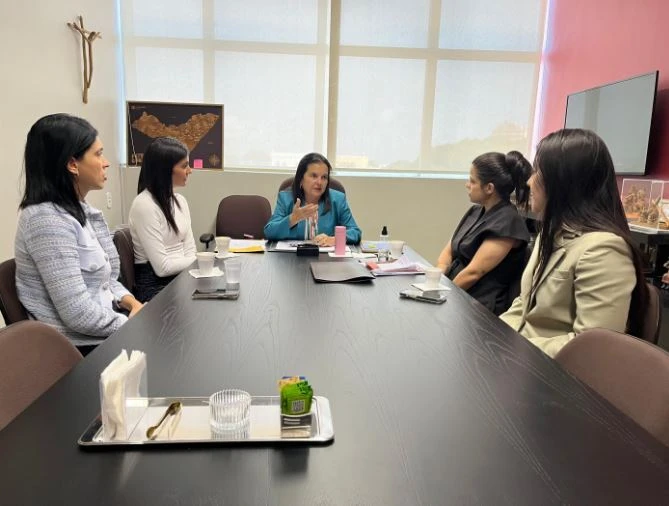 Secretaria da Mulher debate violência doméstica com bancada feminina da ALE