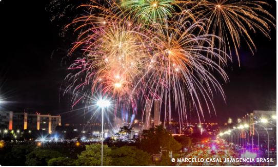 Fogos de artifícios com estampido são risco para animais e pessoas