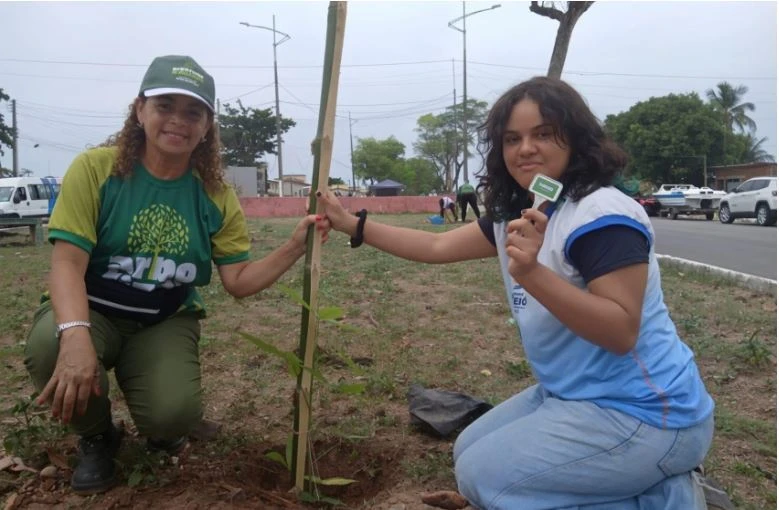 Canteiro do Dique Estrada recebe plantio de árvores de grande porte